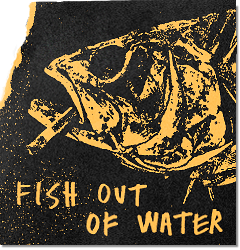 FISH OUT OF WATER
